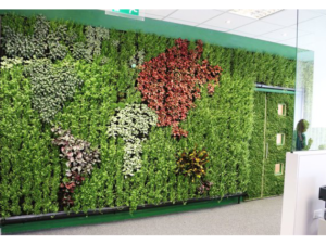 Living Plant Walls