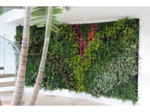 Living Plant Walls(14)
