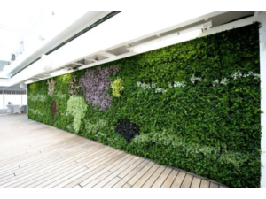 Living Plant Walls(3)