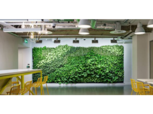 Living Plant Walls(9)