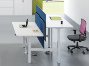 Swift-2-person-back-to-back-electric-height-adjustable-desk-1.jpg