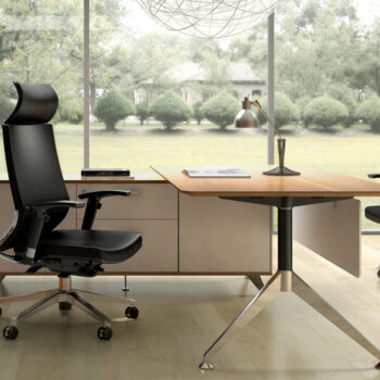Executive Office Desks