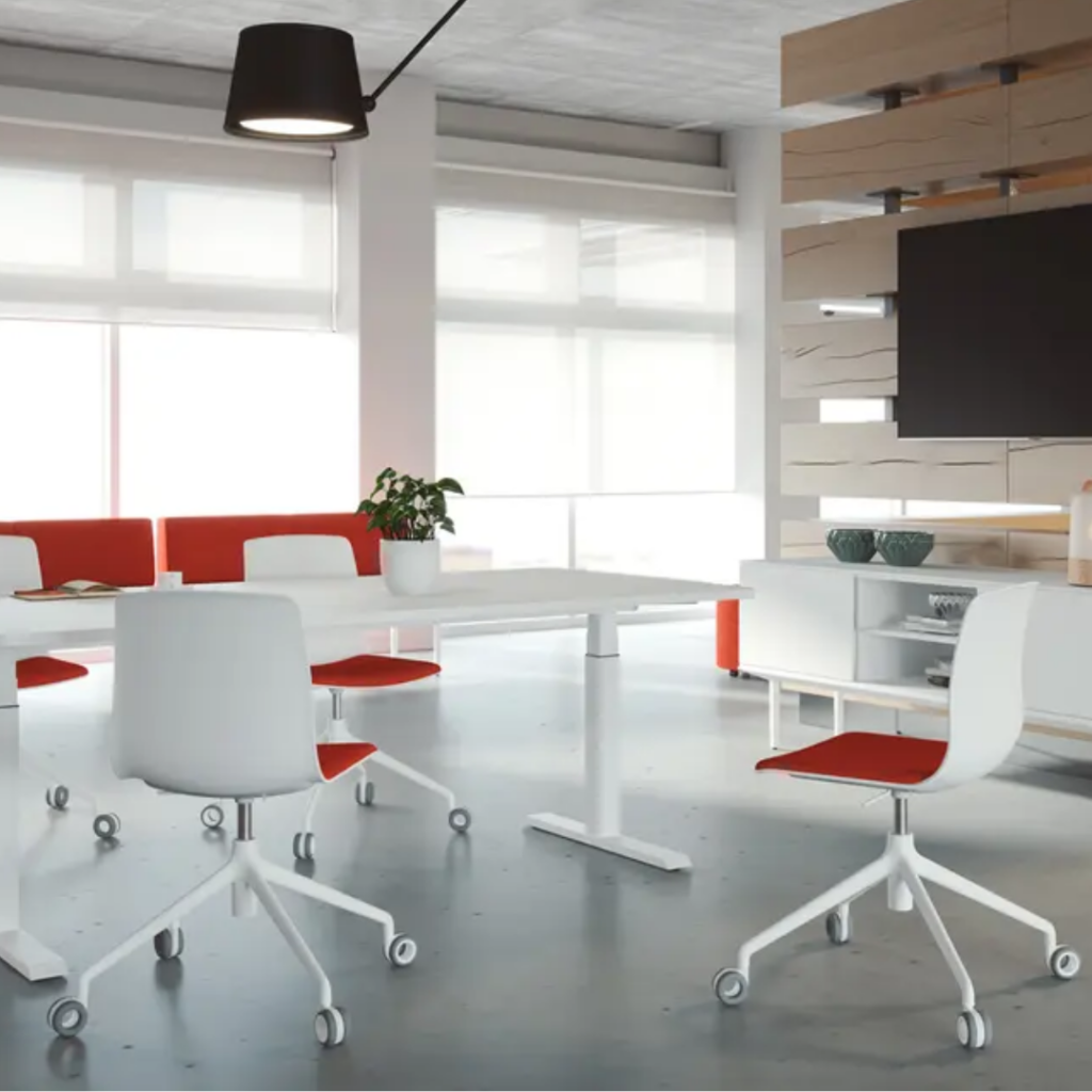 NOOM 50 Swivel Chair