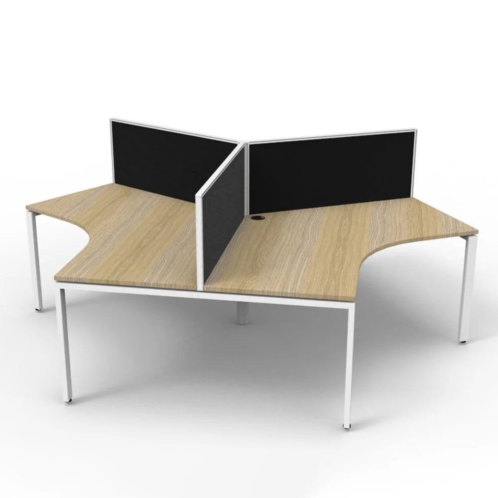 EX Workstation System