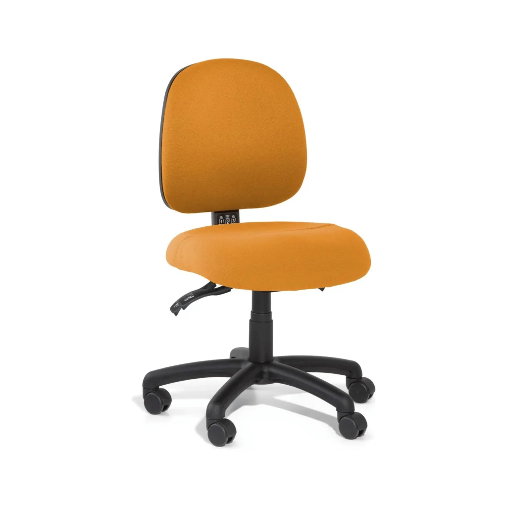 INCA GBD Task Chair