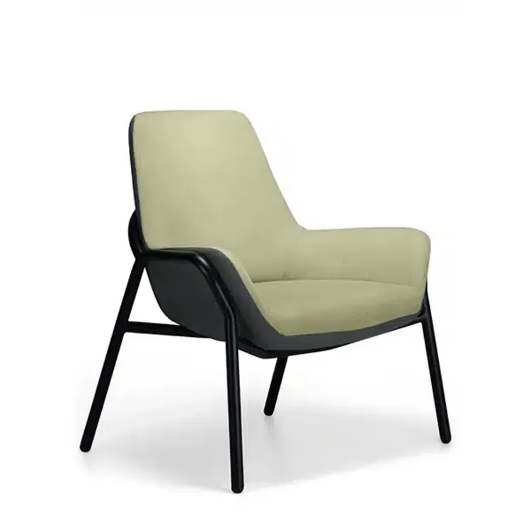 ARCANA Bariatric Chair