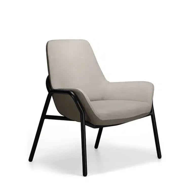 ARCANA Bariatric Chair