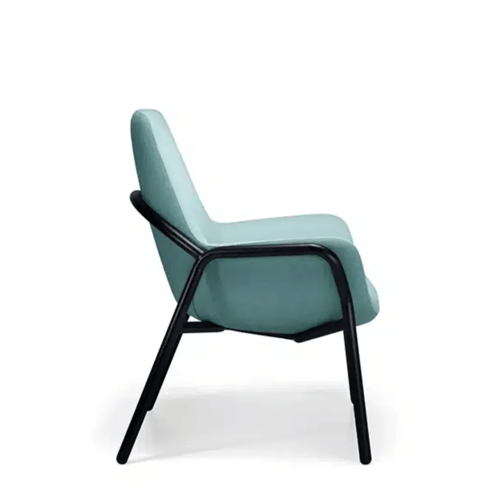 ARCANA Bariatric Chair