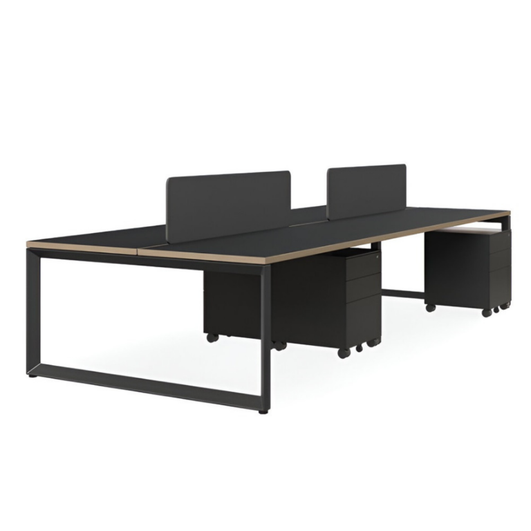 OX Workstation System