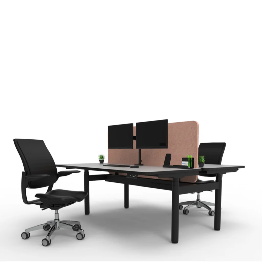 RESOUND Workstation Screen